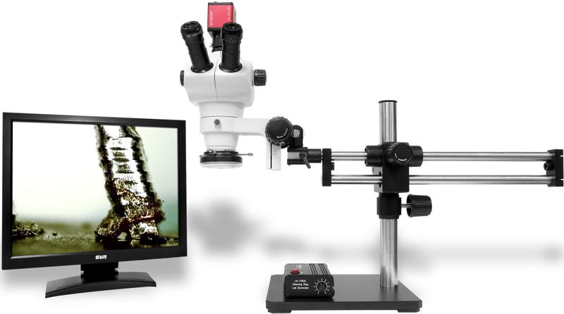 File:Stereo Microscope example4.jpg