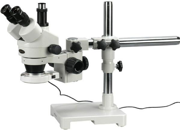 File:Stereo Microscope example3.jpg